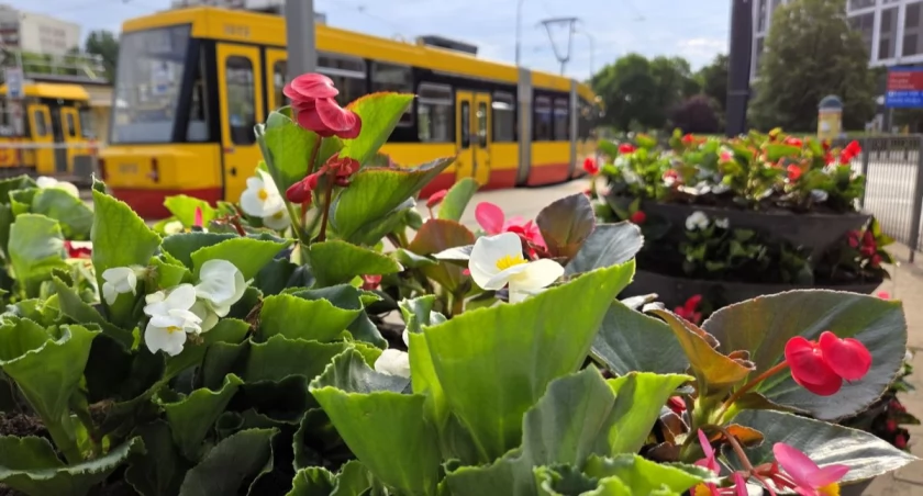UM Warszawa