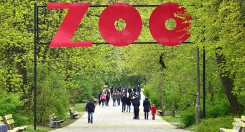 ZOO Warszawa 2024 Adrian Grycuk, CC BY-SA 3.0 PL , via Wikimedia Commons