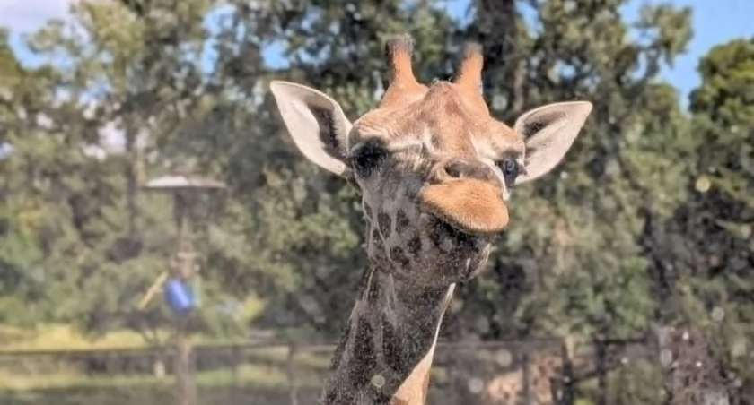 Warszawskie ZOO/UM Warszawa