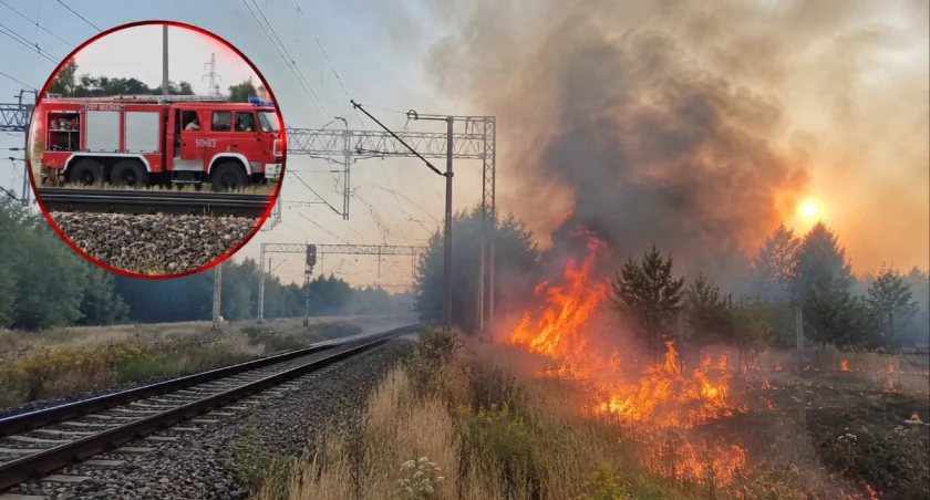 Zdjęcie ilustracyjne, warszawa.tvp.pl