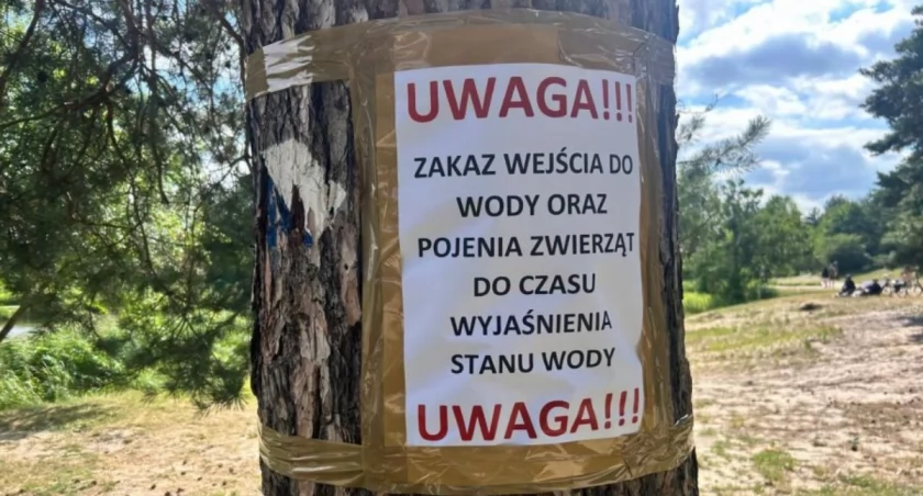 fot. Hanna Kułakowska-Michalak Zastępca Burmistrza, Facebook