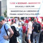 zdjęcie nr 11