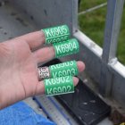 Obrączki Barbara Mikulska-Rola