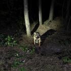 Fotka nr 0 z 3