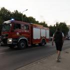 Fotka nr 1 z 12