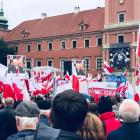 zdjęcie nr 9