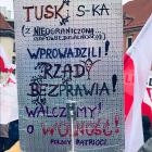 zdjęcie nr 12