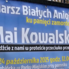 Fotka nr 2 z 8