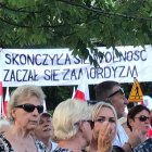 zdjęcie nr 21