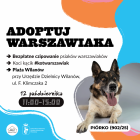 Fotka nr 0 z 1