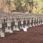 zdjęcie nr 10