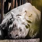 fot. Warszawskie ZOO