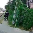 zdjęcie nr 11