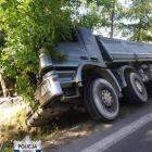 Fotka nr 2 z 3