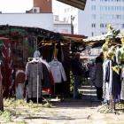 zdjęcie nr 11