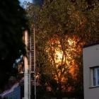 Fotka nr 4 z 12