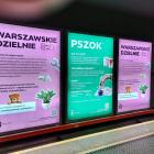 Fotka nr 3 z 4