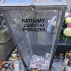 Fotka nr 3 z 9