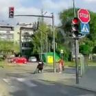 zdjęcie nr 3
