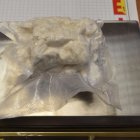  mat. policji