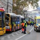 zdjęcie nr 8