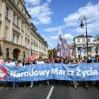 zdjęcie nr 10