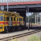 Fotka nr 2 z 6
