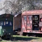 zdjęcie nr 7
