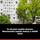Fotka nr 0 z 16