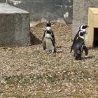 Fotka nr 0 z 4