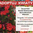 Fotka nr 1 z 2
