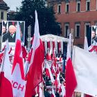 zdjęcie nr 8