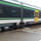 Fotka nr 4 z 5
