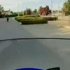 zdjęcie nr 5