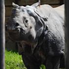 fot. Warszawskie ZOO