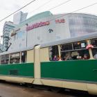 zdjęcie nr 8