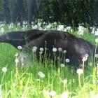 Fotka nr 0 z 4