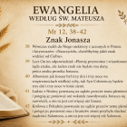 Fotka nr 0 z 1