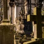 Fotka nr 1 z 3