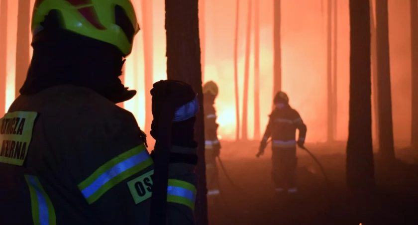 Ponad 100 ha lasu spłonęło. Pożar wciąż nieopanowany