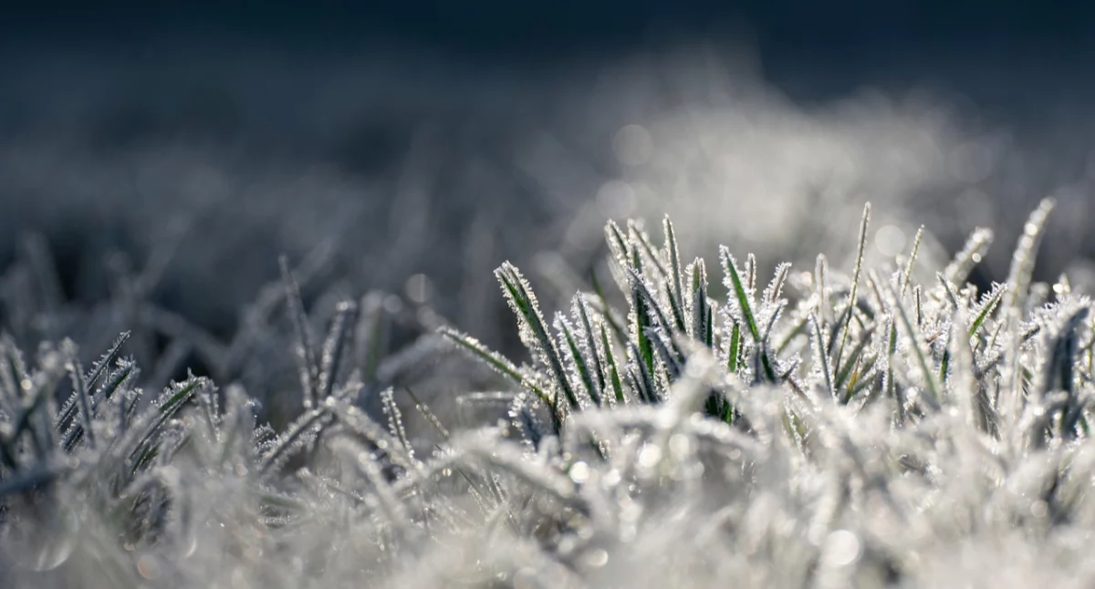 Atak zimy na północy i zachodzie. Nawet –10°C w nocy
