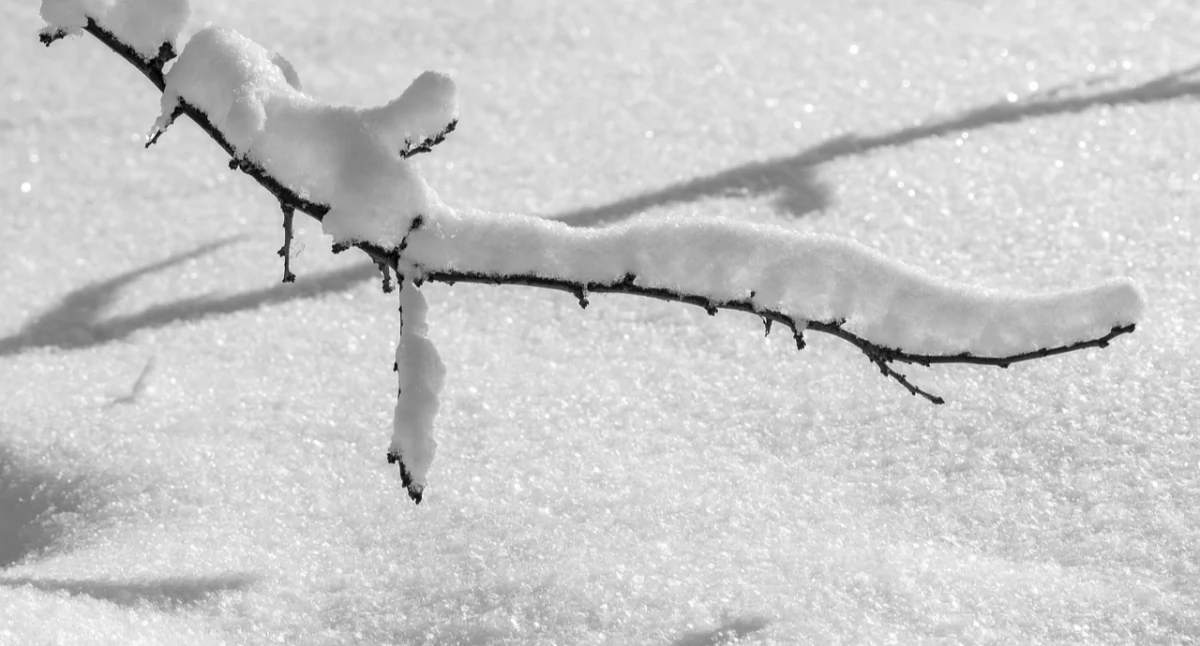 Śnieżyce nad Polską. Do 30 cm białego puchu