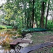 zdjęcie nr 