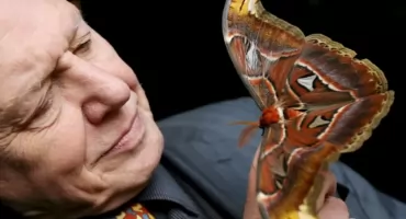 35 lat temu w BBC mówili, że odejdzie na emeryturę...