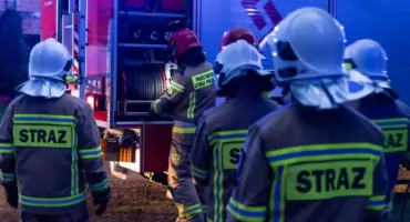 Pożar lasu pod Warszawą. Służby badają trop podpalenia