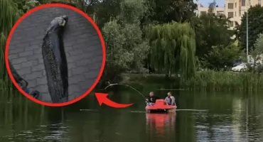 Warszawa oburzona po tym, co Ukraińcy zrobili z ogromnym sumem z Balatonu