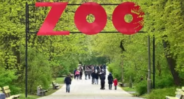Kupują siano za granicą, choć Polska jest rolniczą potęgą. Jest reakcja ZOO