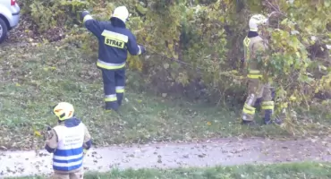 Ostrzeżenia IMGW dla jedenastu województw przed burzami i dla siedmiu przed wzrostem stanu wód