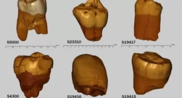 Neandertalczycy żyli tu tysiące lat temu. Nowe odkrycie z Polski zadziwiło świat nauki