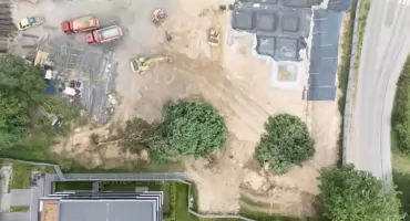 Kilkudziesięcioletnie dęby padły w kilka godzin. „Przewracali je koparkami”